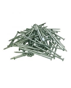 100mm 500g Box Galv Round Wire Nails