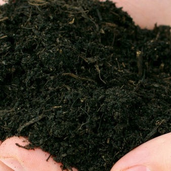 Bury Hill Organic Soil Conditioner (0.7m3 Bulk Bag)